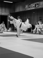 remise-des-ceintures-202