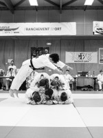 remise-des-ceintures-239