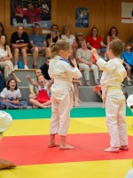 remise-des-ceintures-83